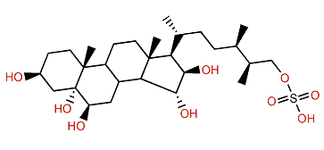 (24R,25S)-24-Methyl-5a-cholestane-3b,5,6b,15a,16b,26-hexol 26-sulfate